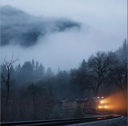 عکس جنگل و مه